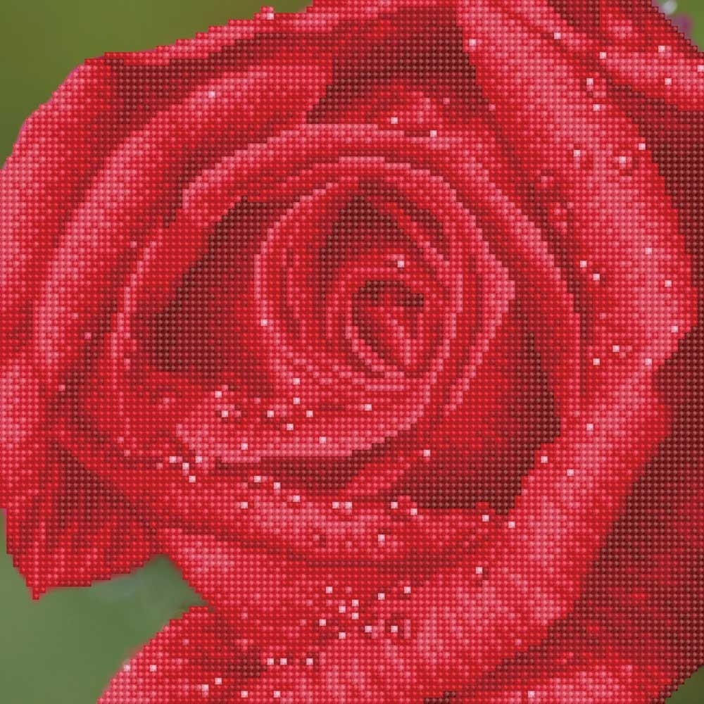 Rose Dew Diamond Dotz: 31x31 cm (DD5.039)